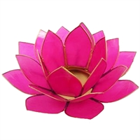 Lotus stage Fuchsia Ø 15cm