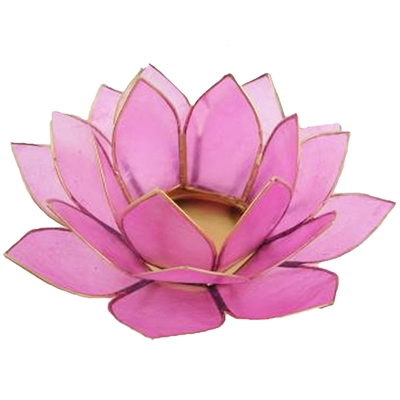 Lotus stage Pink Ø 15cm