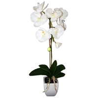 Orkidé i potte - 62 cm